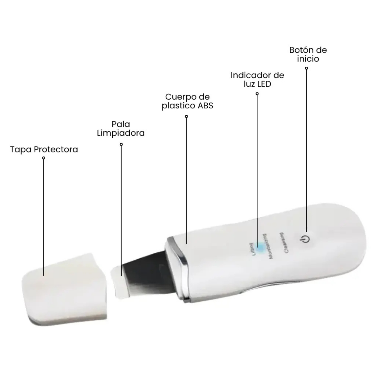 Skin Scrubber + Tónico Facial de Agua de Rosas 10ml - Imagen 5